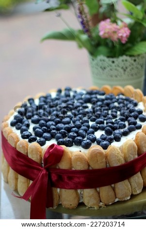 Homemade summer cake with blueberries / 	Homemade cake with blueberries