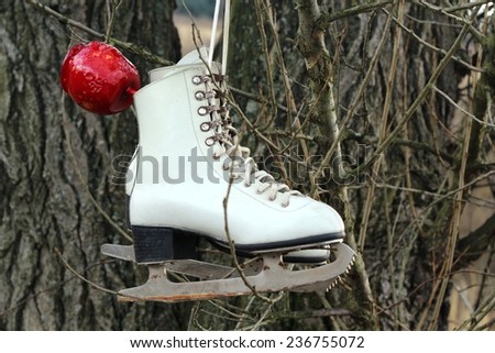 Pair of White Ice Skates and red apple hanging on the tree	/Pair of White Ice Skates hanging on the tree