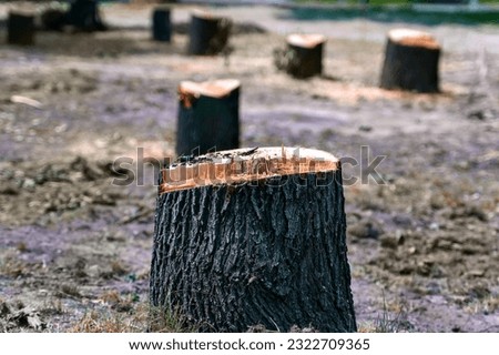 Image, Stock Photo Tree stump from felled tree in front of chimney with smoke from fossil fuel power plant