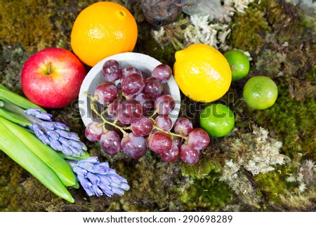 still life of fruit on moss ground with rabbit and bird, Hyacinth