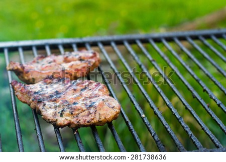 Stock photo of a meat on BBQ. Focus on the front of the foreground meat