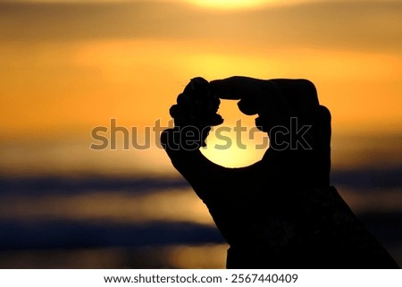 Similar – Image, Stock Photo Reflection of a mussel seeker in the mudflats