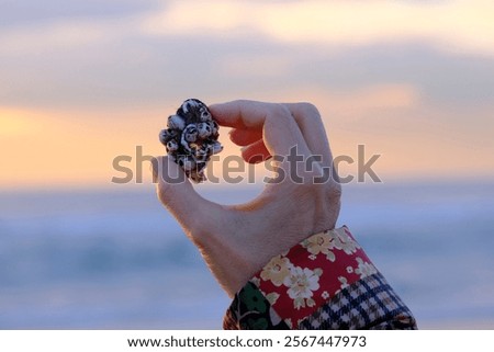 Similar – Image, Stock Photo Reflection of a mussel seeker in the mudflats