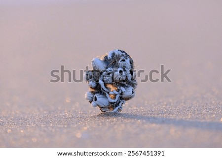 Similar – Image, Stock Photo Reflection of a mussel seeker in the mudflats