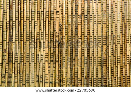 Wooden Sticks Texture