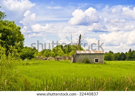 A derelict, small wooden cabin sits abandoned in a lush, green, Ottawa Valley field.
