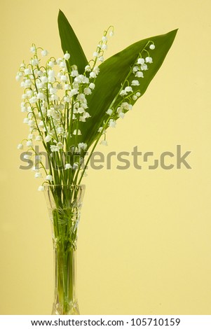 The bouquet of lilies of the valley in a vase is removed in studio