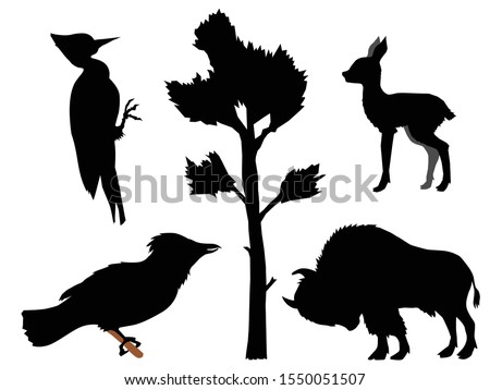 Set of silhouettes with different kinds of animals. Motives of wood, nature, wildlife, European forest . Buffalo, deer cub, woodpecker, jay