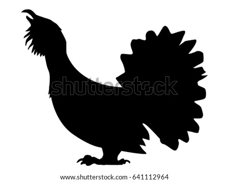 silhouette of grouse bird