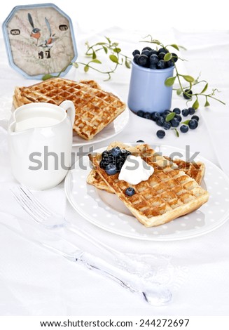 waffles belgium blue berry breakfast morning hotel breakfast