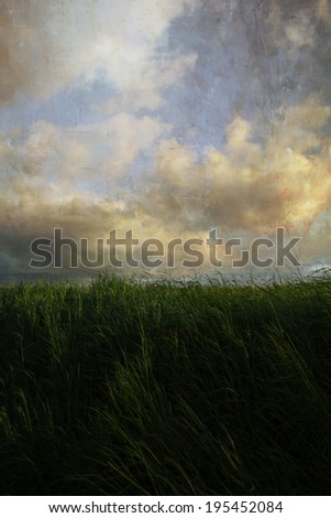 vertical photography, with grass and clouds, vivid colors and textures