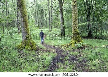 young man walking alone on a path in the legendary  Paimpont Forest (Broceliande), Brittany, France