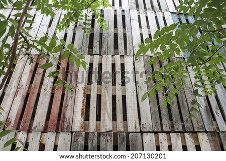 recycled wooden wall and trees