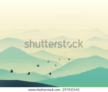 Foto Bild Entfernte Vögel fliegen am Himmel an den Outer Banks in North Carolina