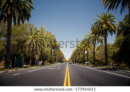 Similar – Foto Bild Gerade Straße in einer Allee von trockenen Bäumen ohne Blätter im Winter / Anfang Frühling Luftaufnahme