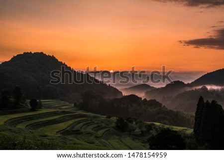 Shutterstock Puzzlepix