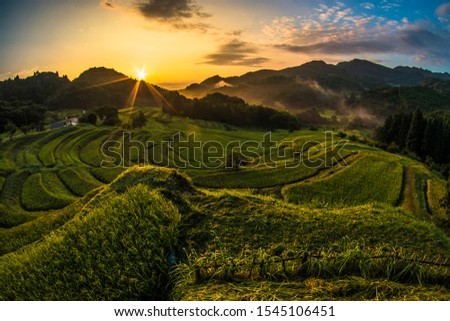 Shutterstock Puzzlepix