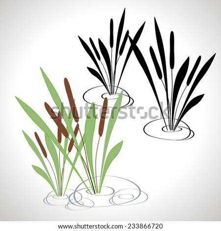 Bulrush Silhouette - Color, Black And White Stock Vector Illustration ...