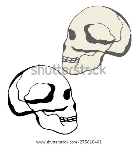 Human skull. Black and white image on white background. Silhouette. sketch