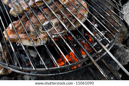 Meat on grill above campfire