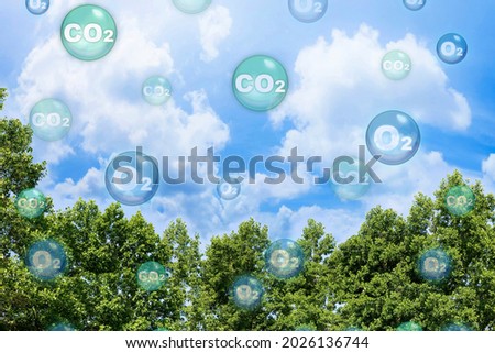 Tree canopy against a sky background with oxygen O2 and carbon dioxide CO2 molecules - Carbon dioxide absorption and oxygen release concept