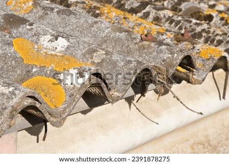 Image, Stock Photo Building with roof made of solar panels