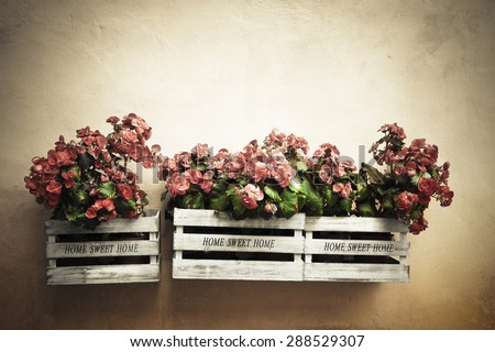 Flowers boxes hanging on the wall - Home sweet home written on wooden box - toned image