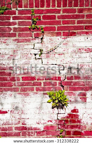 Varnished and cracked brick wall - toned image