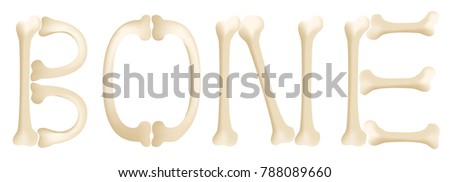 bone vector graphic