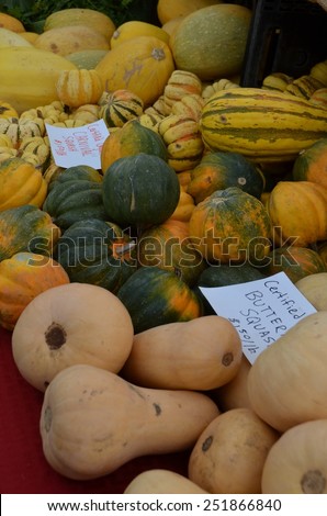 Heap of multicolored, striped Carnival Squash, Butternut Squash and Acorn Squash for sale at the outdoor, organic farmers' market in Palm Springs, California.