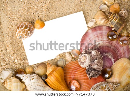 Beautiful exotic shell, stones, crystal with banner add on sand