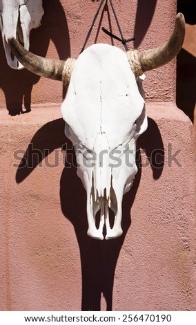 Bleached Cattle Skull and Painted Ceramic Sun, Santa Fe, New Mexico