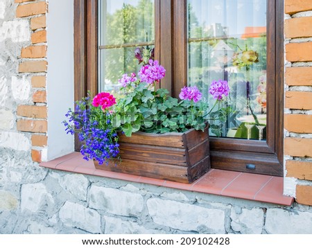 Window flowers in a wooden box