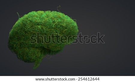 The green thinking brain (side view)
