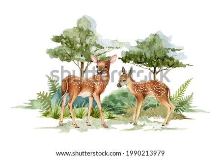 Deer animal in forest landscape. Watercolor illustration. Deer couple standing in forest scene. Rustic print image. Bambi in wild forest herbs, bushes, green trees. Side view two forest animal
