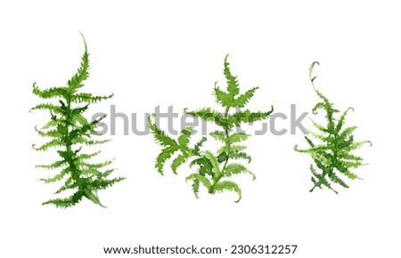 Similar – Image, Stock Photo Green lichen on the annual rings of an old tree trunk on a farm in Rudersau near Rottenbuch in the district of Weilheim-Schongau in Upper Bavaria