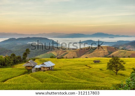 Sunrise at Terraced Paddy Field in Mae-Jam Village , Chiang Mai Province , Thailand
