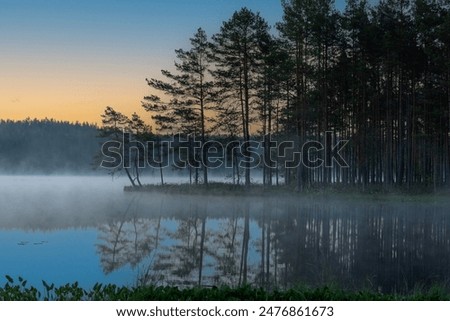 Similar – Foto Bild Nebel am See harmonisch