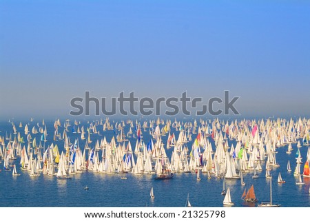 Racing sails boats in the middle of the sea
