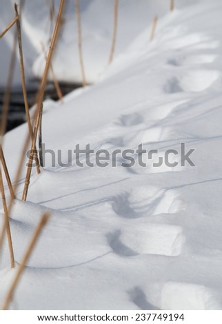 Footsteps in the snow near to small stream