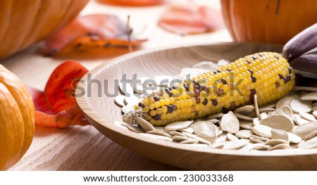 Indian corn on an oak table top with red leaves and pumpkins, pumpkins seeds in a turned wooden bowl.  Strong back light.