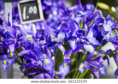 Cut purple iris at a farmer\'s market. Price sign (1.00) out of focus in the background.
