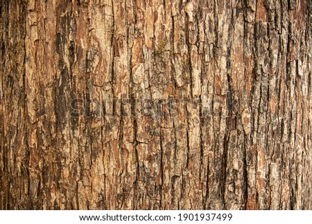 Similar – Image, Stock Photo Pine trees and residential buildings