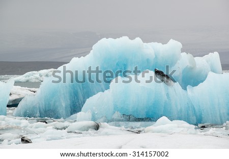 Huge blue floes and icebergs at ice lagoon Jokulsarlon, Iceland