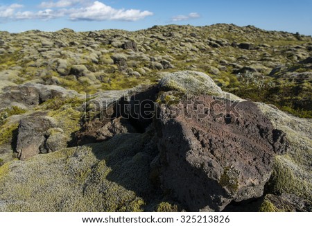 Landscape with lava rock and lava field covered with moss on a background, Iceland.
