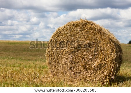 Agriculture straw gathered into a sheaf field sky harvest. Nature day sun