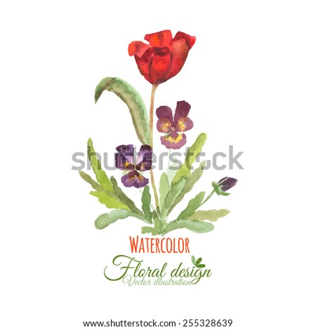Watercolor flowers. Tulip and flower Pansy.