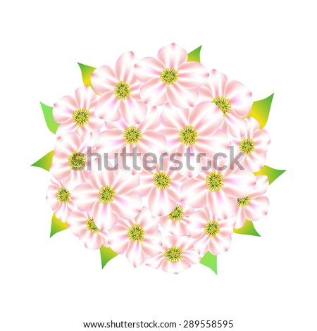 Abstract flowers. Spring. Mesh. White flowers on white background. Wedding bouquet