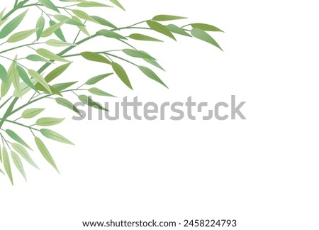 Illustration of bamboo grass, Vector illustration