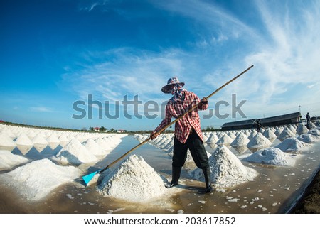 People piling up sea salt in farm